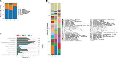 Dietary fiber may benefit chondrocyte activity maintenance